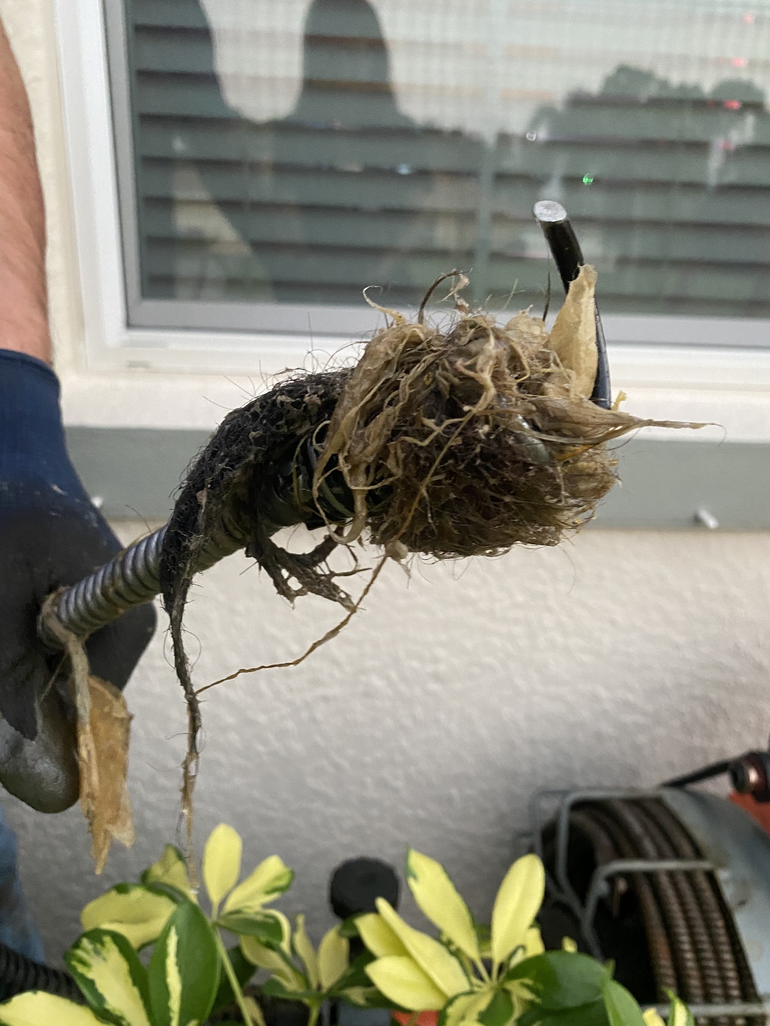 A-1 Plumbing technician clearing a clogged drain line in Naples, FL